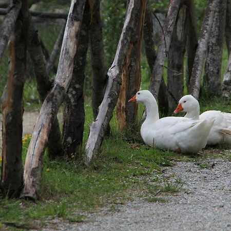Albergo Lago Verde Pennabilli Zewnętrze zdjęcie